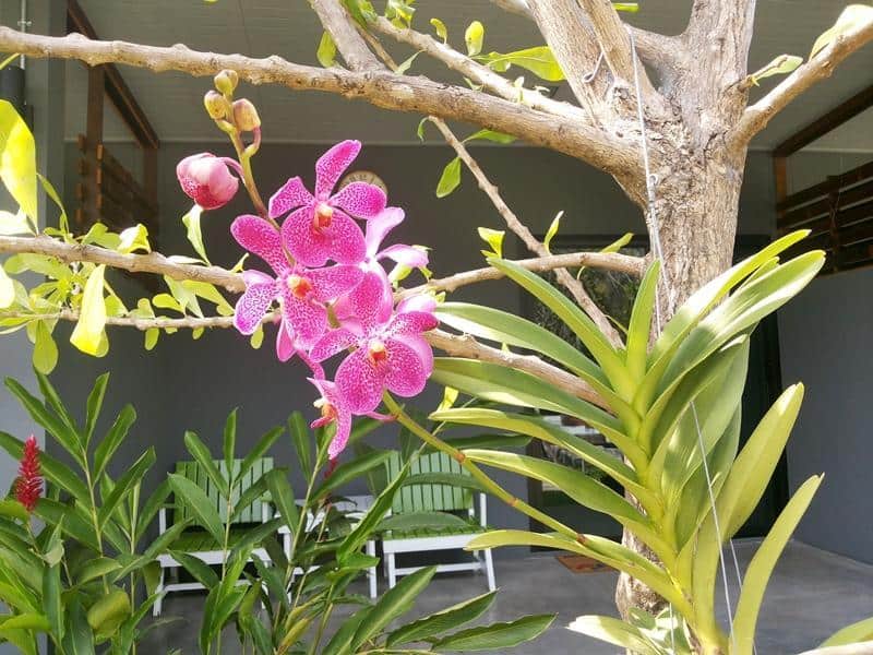 Kanvela Resort, Kanchanaburi, Kanchanaburi