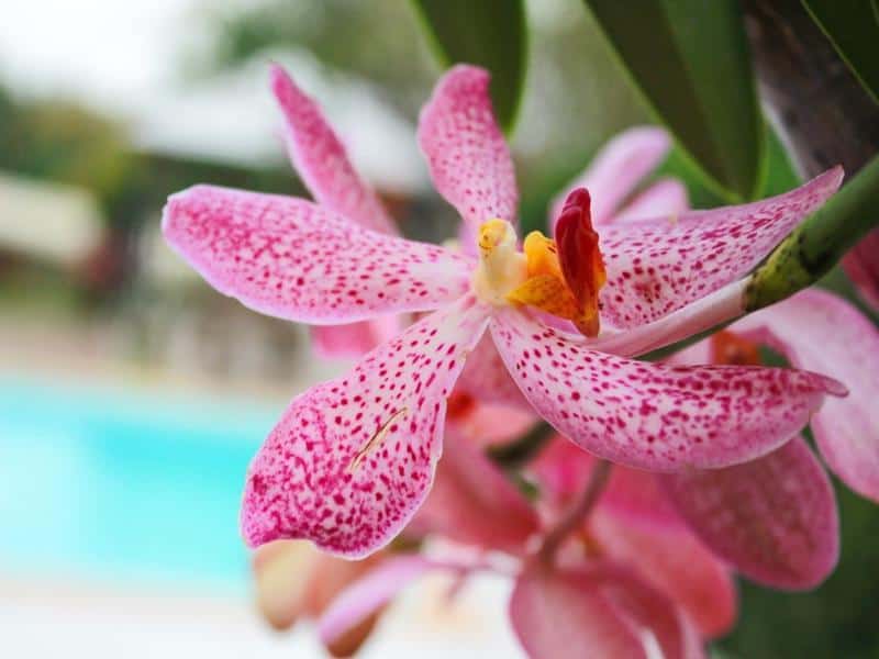 Kanvela Resort, Kanchanaburi, Kanchanaburi