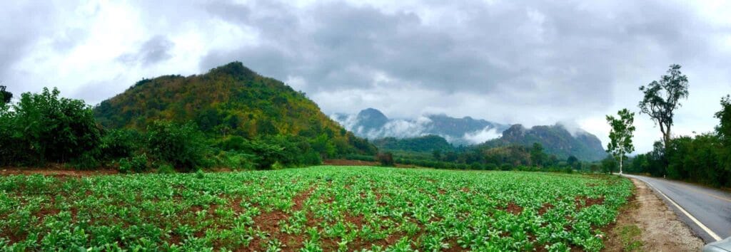 Kwai Tara Riverside Villas, Kanchanaburi, Kanchanaburi