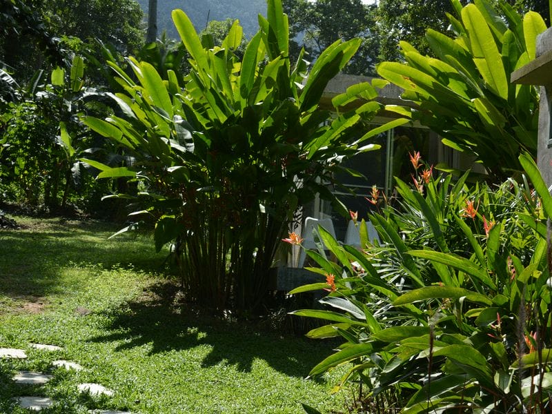 Lazy Republique Villa, Koh Chang, Trat