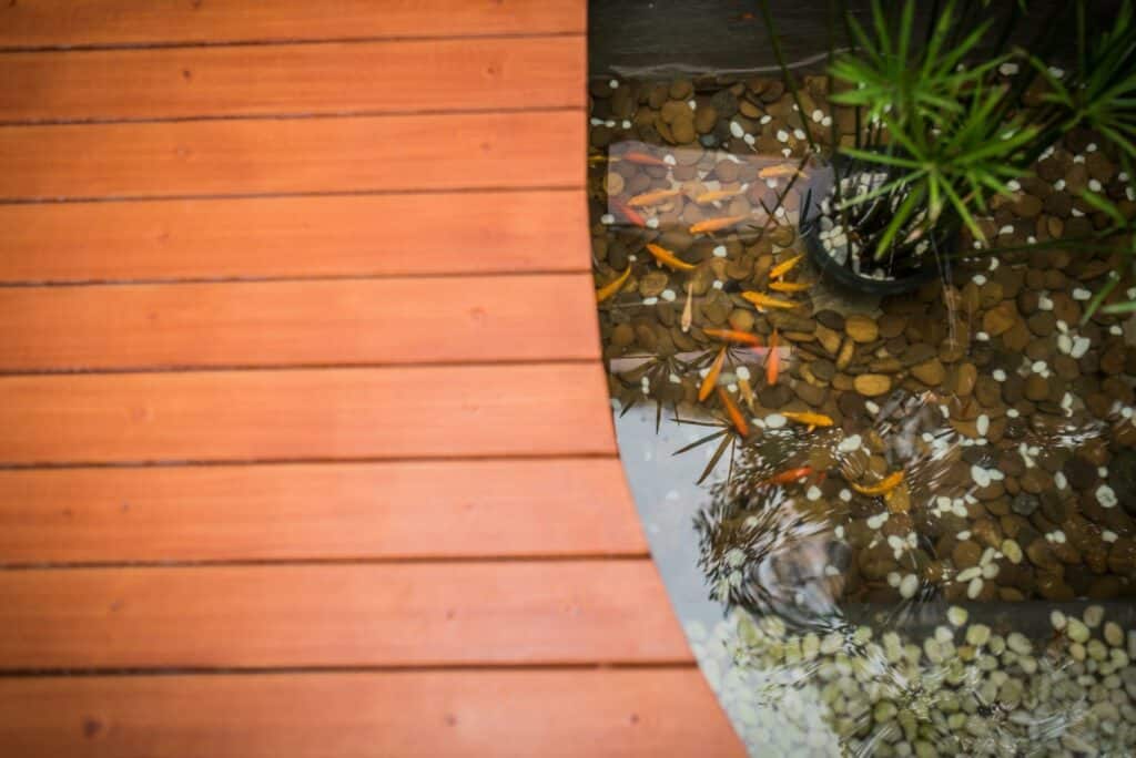 Le Terrarium Bed & Sleep Chiang Rai, Chiang Rai, Chiang Rai