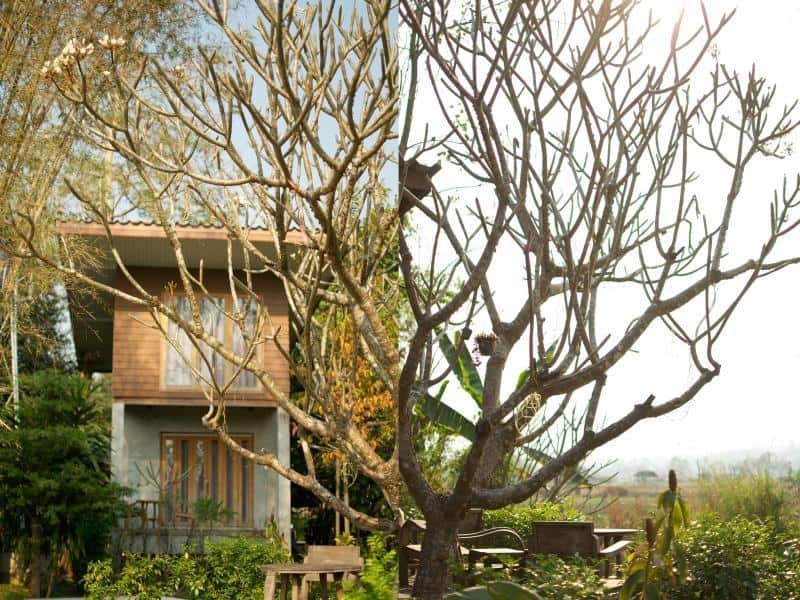 Pai Talay Guest House, Pai, Mae Hong Son