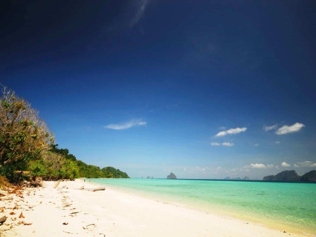 Reef Resort, Trang, Trang