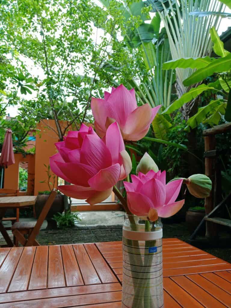 Sabaidee House, Sukhothai, Sukhothai