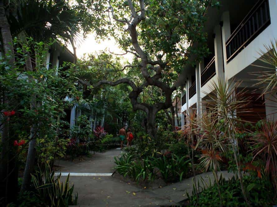 THE HIVE HOTEL SAMUI, Koh Samui, Surat Thani