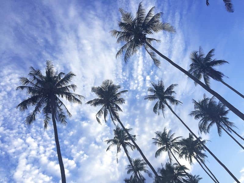 Talay Time Koh Mak, Koh Mak (Trad), Trat