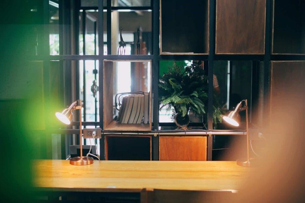 The Tree Sleep and Space, Trang, Trang