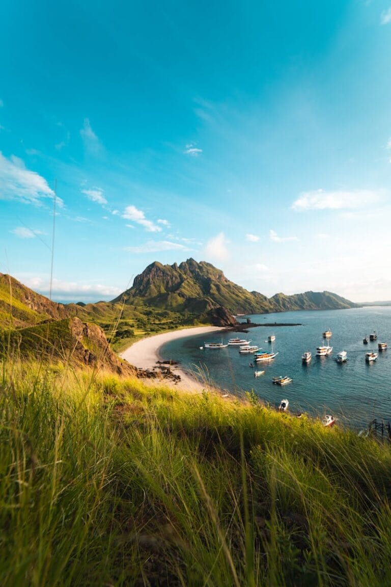 Explore the breathtaking landscape and marine life of Padar Island in East Nusa Tenggara, Indonesia.